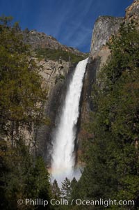 Bridalveil Falls drops 620 through a hanging valley, shown here at peak water flow in spring months from deep snowpack and warm weather melt.  Yosemite Valley, Yosemite National Park, California