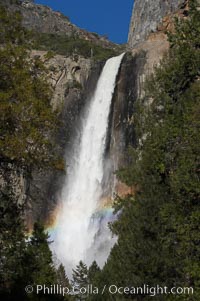 Bridalveil Falls with a rainbow forming in its spray, dropping 620 into Yosemite Valley, displaying peak water flow in spring months from deep snowpack and warm weather melt.  Yosemite Valley, Yosemite National Park, California