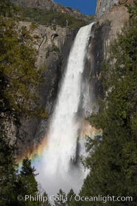 Bridalveil Falls with a rainbow forming in its spray, dropping 620 into Yosemite Valley, displaying peak water flow in spring months from deep snowpack and warm weather melt.  Yosemite Valley, Yosemite National Park, California