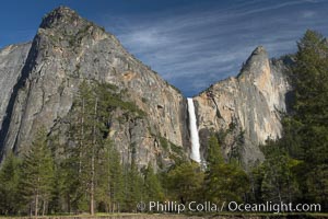 Bridalveil Falls drops 620 through a hanging valley, shown here at peak water flow in spring months from deep snowpack and warm weather melt.  Yosemite Valley, Yosemite National Park, California