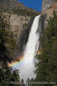 Bridalveil Falls with a rainbow forming in its spray, dropping 620 into Yosemite Valley, displaying peak water flow in spring months from deep snowpack and warm weather melt.  Yosemite Valley, Yosemite National Park, California