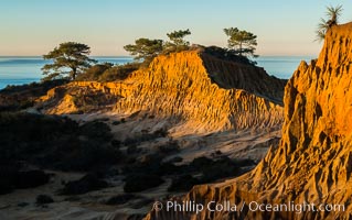 Broken Hill and view to La Jolla, from Torrey Pines State Reserve, sunrise, San Diego, California