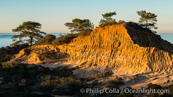 Broken Hill and view to La Jolla, from Torrey Pines State Reserve, sunrise, San Diego, California