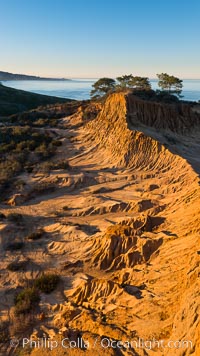 Broken Hill and view to La Jolla, from Torrey Pines State Reserve, sunrise, San Diego, California