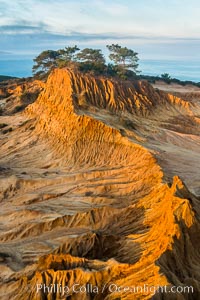 Broken Hill and view to La Jolla, from Torrey Pines State Reserve, sunrise.