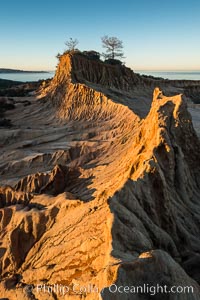 Broken Hill and view to La Jolla, from Torrey Pines State Reserve, sunrise, San Diego, California