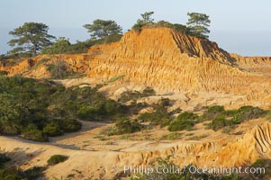 Broken Hill is an ancient, compacted sand dune that was uplifted to its present location and is now eroding, Torrey Pines State Reserve, San Diego, California