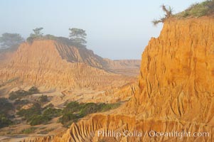 Broken Hill is an ancient, compacted sand dune that was uplifted to its present location and is now eroding. Torrey Pines State Reserve, San Diego, California, USA, natural history stock photograph, photo id 12015