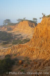 Broken Hill is an ancient, compacted sand dune that was uplifted to its present location and is now eroding, Torrey Pines State Reserve, San Diego, California