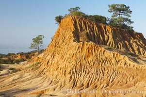 Broken Hill is an ancient, compacted sand dune that was uplifted to its present location and is now eroding, Torrey Pines State Reserve, San Diego, California