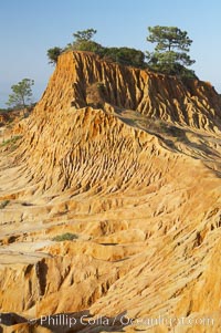 Broken Hill is an ancient, compacted sand dune that was uplifted to its present location and is now eroding, Torrey Pines State Reserve, San Diego, California