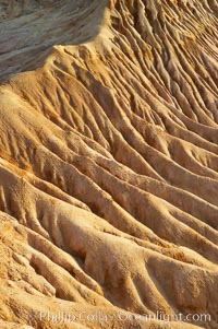 Broken Hill is an ancient, compacted sand dune that was uplifted to its present location and is now eroding, Torrey Pines State Reserve, San Diego, California