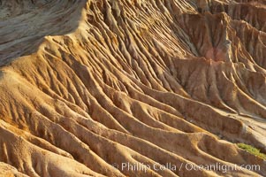 Broken Hill is an ancient, compacted sand dune that was uplifted to its present location and is now eroding, Torrey Pines State Reserve, San Diego, California