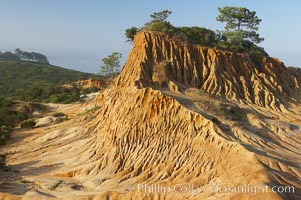 Broken Hill is an ancient, compacted sand dune that was uplifted to its present location and is now eroding, Torrey Pines State Reserve, San Diego, California