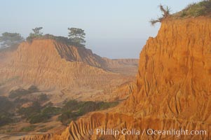 Broken Hill is an ancient, compacted sand dune that was uplifted to its present location and is now eroding, Torrey Pines State Reserve, San Diego, California