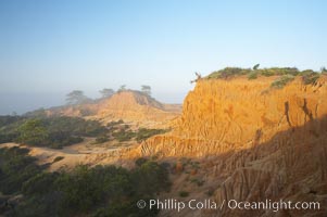 Broken Hill is an ancient, compacted sand dune that was uplifted to its present location and is now eroding, Torrey Pines State Reserve, San Diego, California