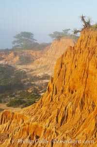 Broken Hill is an ancient, compacted sand dune that was uplifted to its present location and is now eroding, Torrey Pines State Reserve, San Diego, California