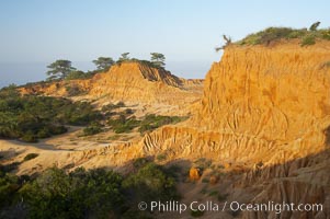 Broken Hill is an ancient, compacted sand dune that was uplifted to its present location and is now eroding, Torrey Pines State Reserve, San Diego, California