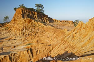 Broken Hill is an ancient, compacted sand dune that was uplifted to its present location and is now eroding, Torrey Pines State Reserve, San Diego, California