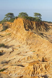 Broken Hill is an ancient, compacted sand dune that was uplifted to its present location and is now eroding, Torrey Pines State Reserve, San Diego, California