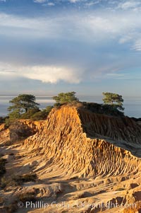 Broken Hill with the Pacific Ocean in the distance.  Broken Hill is an ancient, compacted sand dune that was uplifted to its present location and is now eroding, Torrey Pines State Reserve, San Diego, California