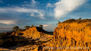 Broken Hill with the Pacific Ocean in the distance.  Broken Hill is an ancient, compacted sand dune that was uplifted to its present location and is now eroding, Torrey Pines State Reserve, San Diego, California