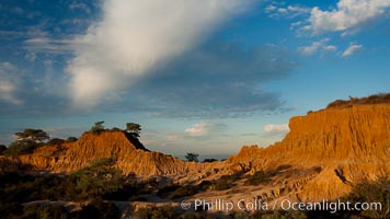 Broken Hill is an ancient, compacted sand dune that was uplifted to its present location and is now eroding, Torrey Pines State Reserve, San Diego, California