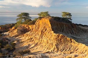 Broken Hill with the Pacific Ocean in the distance.  Broken Hill is an ancient, compacted sand dune that was uplifted to its present location and is now eroding, Torrey Pines State Reserve, San Diego, California