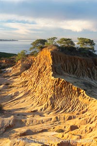 Broken Hill with the Pacific Ocean in the distance.  Broken Hill is an ancient, compacted sand dune that was uplifted to its present location and is now eroding, Torrey Pines State Reserve, San Diego, California