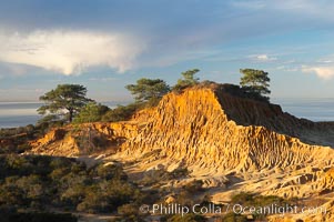 Broken Hill with the Pacific Ocean in the distance.  Broken Hill is an ancient, compacted sand dune that was uplifted to its present location and is now eroding, Torrey Pines State Reserve, San Diego, California