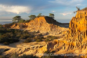 Broken Hill with the Pacific Ocean in the distance.  Broken Hill is an ancient, compacted sand dune that was uplifted to its present location and is now eroding. Torrey Pines State Reserve, San Diego, California, USA, natural history stock photograph, photo id 14762