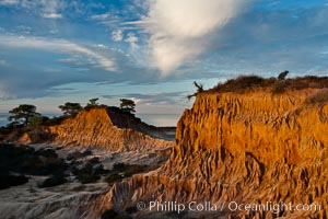 Broken Hill is an ancient, compacted sand dune that was uplifted to its present location and is now eroding, Torrey Pines State Reserve, San Diego, California