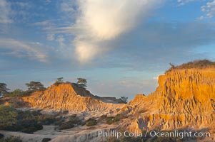 Broken Hill is an ancient, compacted sand dune that was uplifted to its present location and is now eroding, Torrey Pines State Reserve, San Diego, California