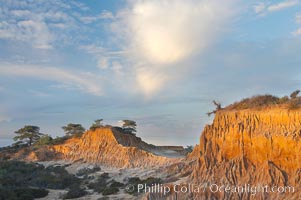 Broken Hill is an ancient, compacted sand dune that was uplifted to its present location and is now eroding, Torrey Pines State Reserve, San Diego, California
