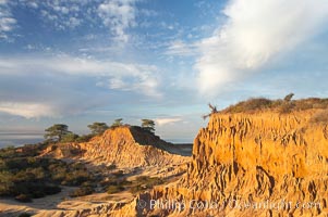 Broken Hill is an ancient, compacted sand dune that was uplifted to its present location and is now eroding, Torrey Pines State Reserve, San Diego, California