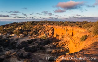 Broken Hill with the Pacific Ocean in the distance. Broken Hill is an ancient, compacted sand dune that was uplifted to its present location and is now eroding, Torrey Pines State Reserve, San Diego, California