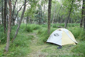My campsite, Brooks Camp, Katmai National Park, Alaska