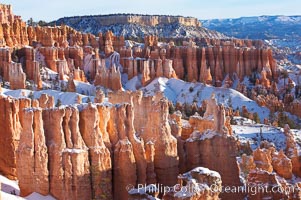 Bryce Canyon hoodoos line all sides of the Bryce Amphitheatre, Bryce Canyon National Park, Utah