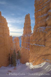 Bryce Canyon hoodoos line all sides of the Bryce Amphitheatre, Bryce Canyon National Park, Utah