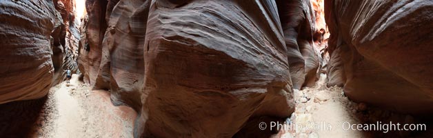 Buckskin Gulch hiker.  A hiker moves through the deep narrow passages of Buckskin Gulch, a slot canyon cut deep into sandstone by years of river-induced erosion.  In some places the Buckskin Gulch narrows are only about 15 feet wide but several hundred feet high, blocking sunlight.  Flash floods are dangerous as there is no escape once into the Buckskin Gulch slot canyons.  This is a panorama made of twelve individual photos, Paria Canyon-Vermilion Cliffs Wilderness, Arizona