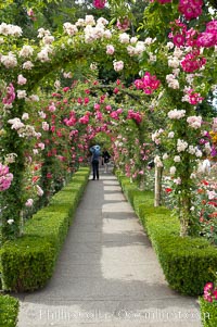 Butchart Gardens, a group of floral display gardens in Brentwood Bay, British Columbia, Canada, near Victoria on Vancouver Island. It is an internationally-known tourist attraction which receives more than a million visitors each year