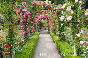 Butchart Gardens, a group of floral display gardens in Brentwood Bay, British Columbia, Canada, near Victoria on Vancouver Island. It is an internationally-known tourist attraction which receives more than a million visitors each year