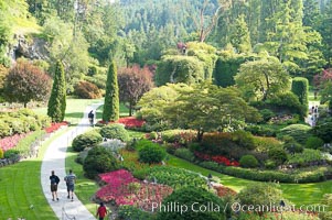 Butchart Gardens, a group of floral display gardens in Brentwood Bay, British Columbia, Canada, near Victoria on Vancouver Island. It is an internationally-known tourist attraction which receives more than a million visitors each year