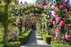 Butchart Gardens, a group of floral display gardens in Brentwood Bay, British Columbia, Canada, near Victoria on Vancouver Island. It is an internationally-known tourist attraction which receives more than a million visitors each year