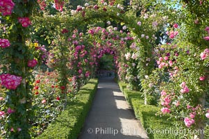 Butchart Gardens, a group of floral display gardens in Brentwood Bay, British Columbia, Canada, near Victoria on Vancouver Island. It is an internationally-known tourist attraction which receives more than a million visitors each year