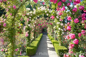 Butchart Gardens, a group of floral display gardens in Brentwood Bay, British Columbia, Canada, near Victoria on Vancouver Island. It is an internationally-known tourist attraction which receives more than a million visitors each year