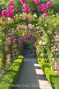 Butchart Gardens, a group of floral display gardens in Brentwood Bay, British Columbia, Canada, near Victoria on Vancouver Island. It is an internationally-known tourist attraction which receives more than a million visitors each year