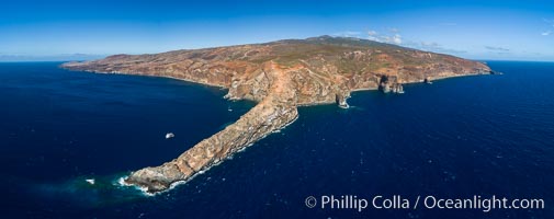 Cabo Pearce on Socorro Island, aerial photo, Revillagigedos Islands, Mexico, Socorro Island (Islas Revillagigedos)