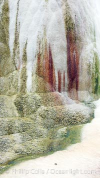 Calcium carbonate and algae detail, Orange Spring Mound, Mammoth Hot Springs, Yellowstone National Park, Wyoming