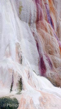 Calcium carbonate and algae detail, Orange Spring Mound, Mammoth Hot Springs, Yellowstone National Park, Wyoming